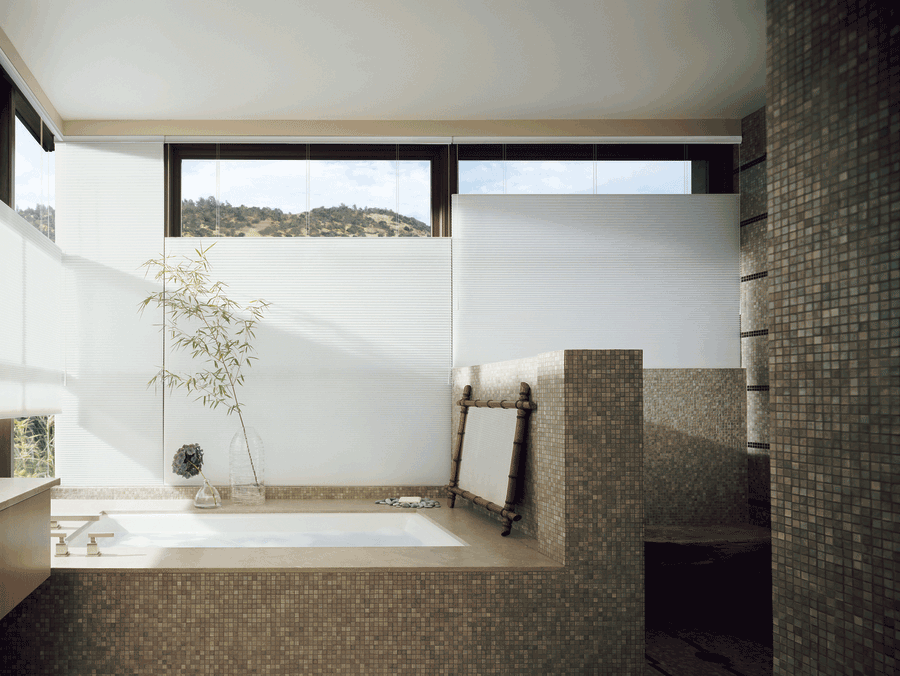 Bathroom window coverings top down shades Hunter Douglas San Antonio 78249