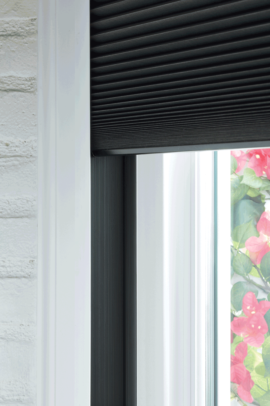 duette honeycomb shades best blackout shades Hunter Douglas San Antonio 78249