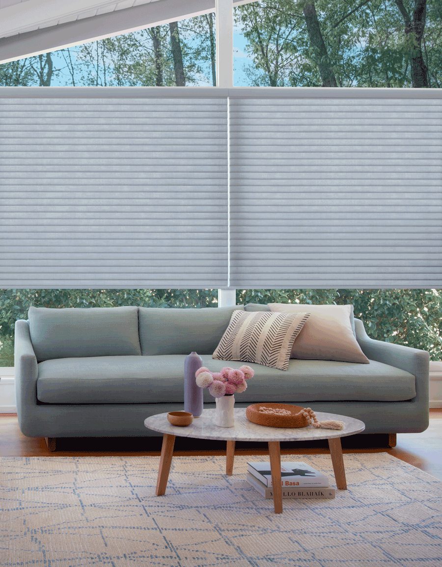 Living room sonnette shade Hunter Douglas San Antonio 78249