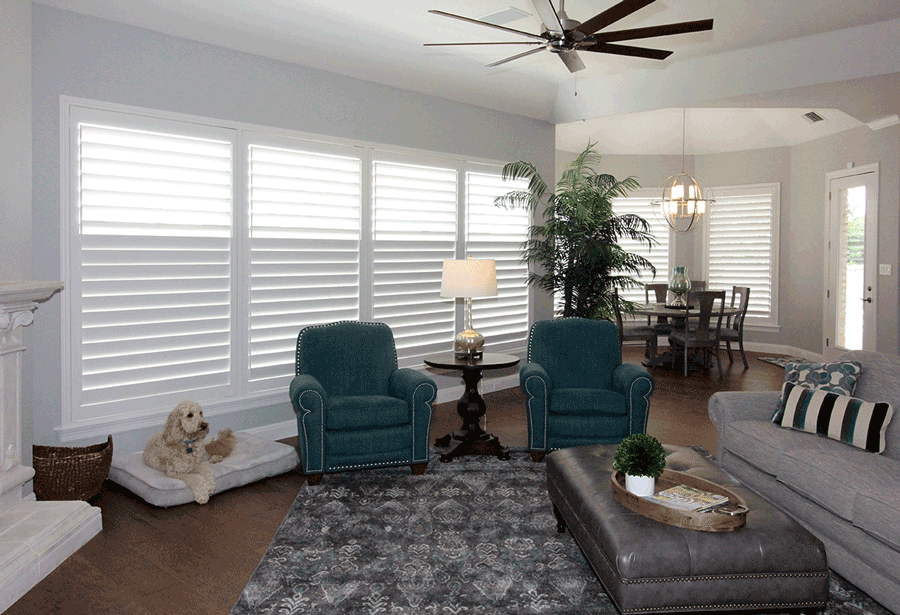 living room open floor plan plantation shutters San Antonio TX