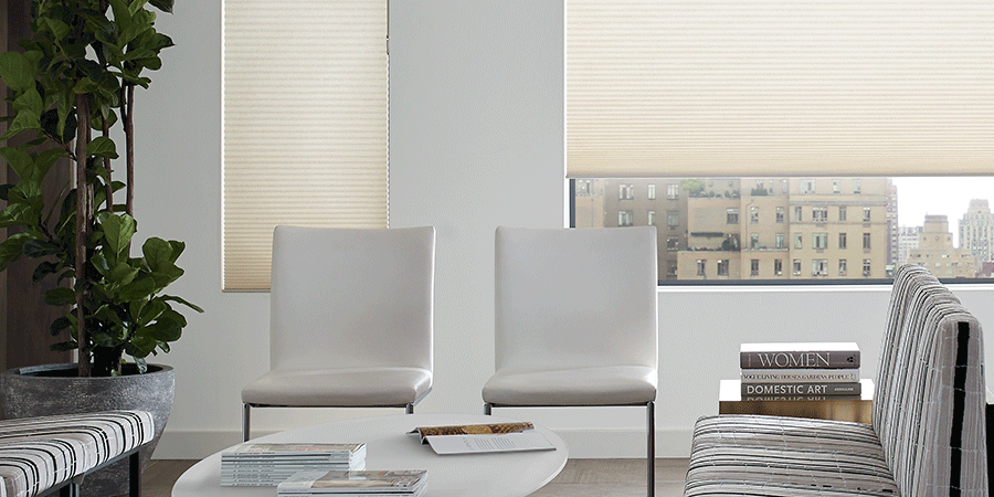 energy efficient window treatments for Denver home