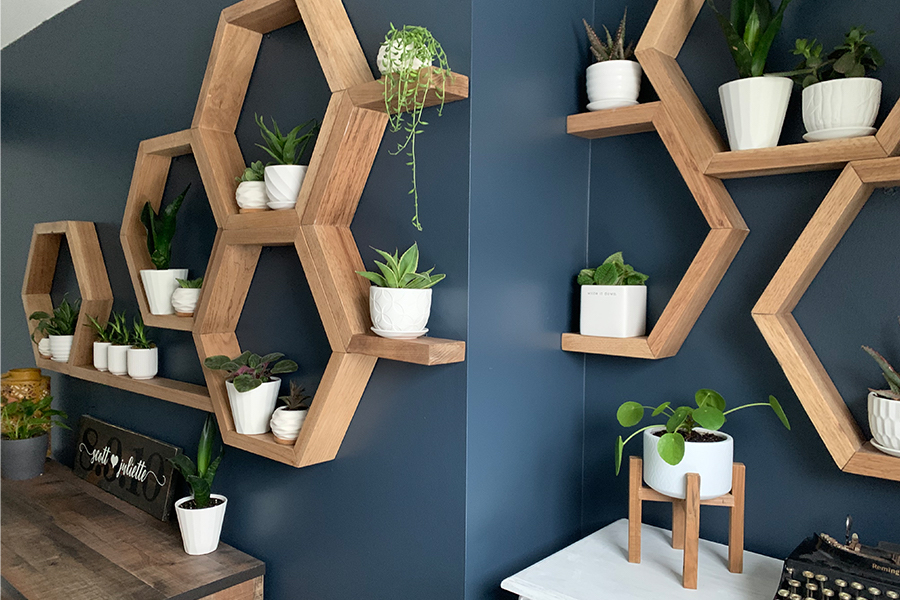 Plants on honeycomb shaped shelves.