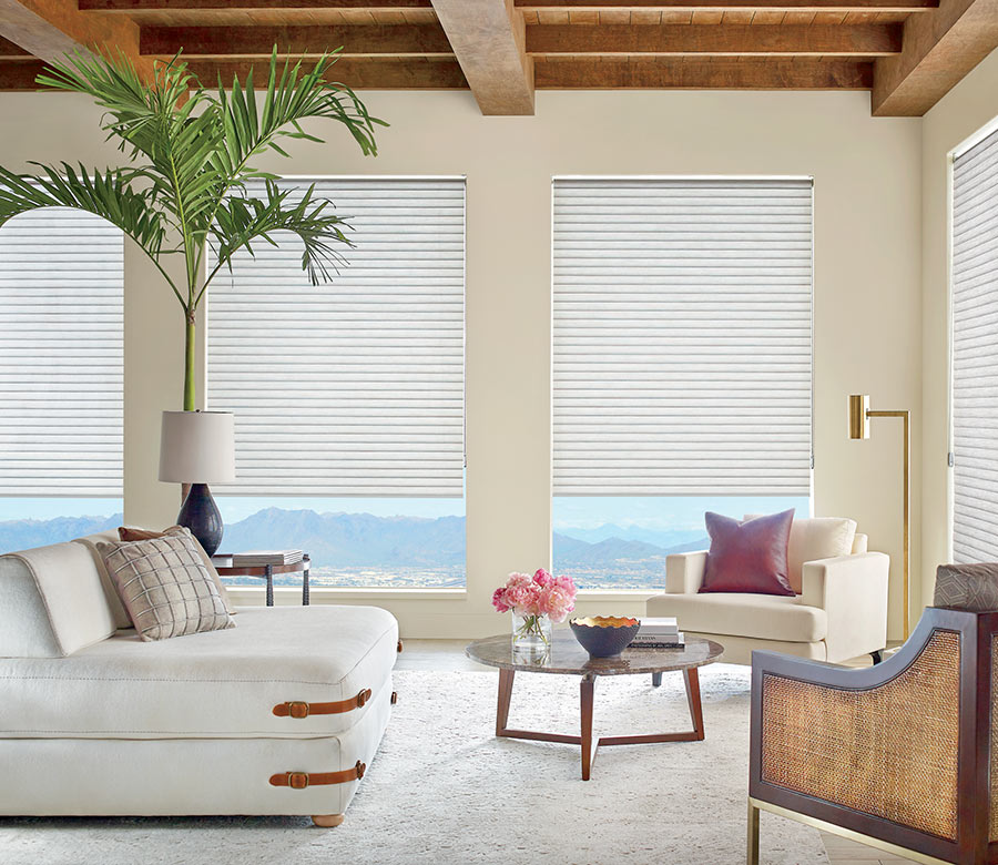 sonnette cellular shades in living room San Antonio, TX home