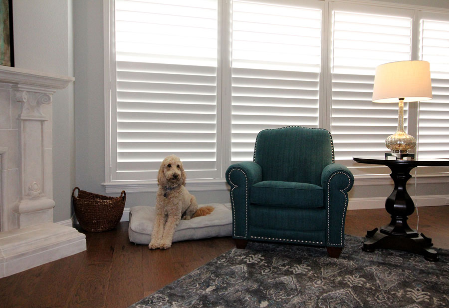 plantation shutters are pet friendly window coverings in San Antonio TX