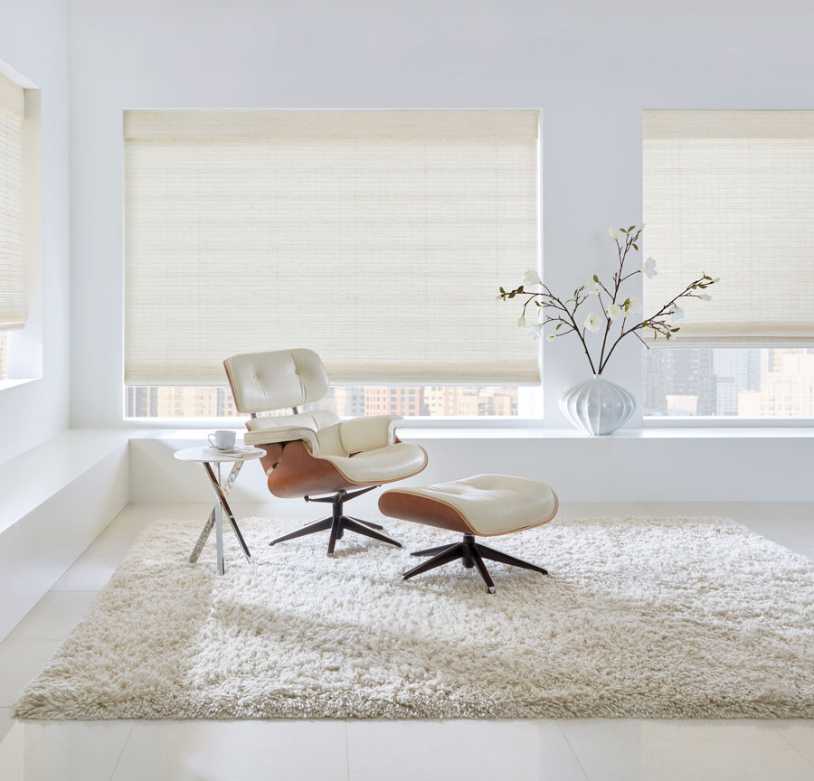 Living room with white woven shades