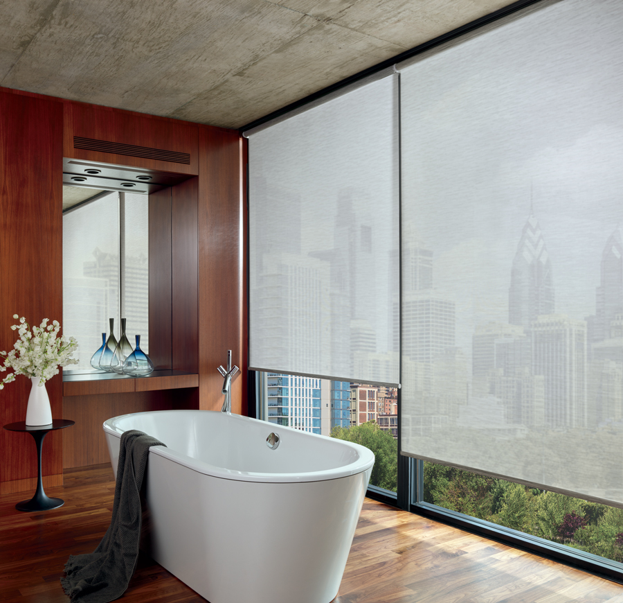 bathroom features with screen shades in san antonio main bath 