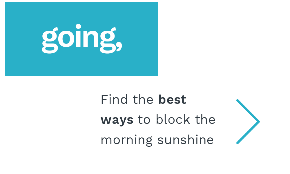 Morning Sunshine