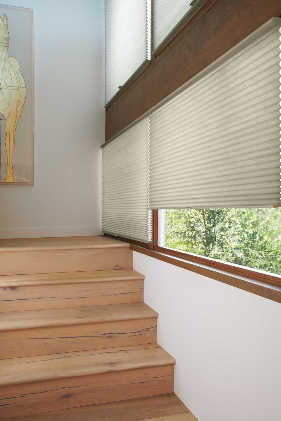 Duette® Honeycomb Shades staircase windows