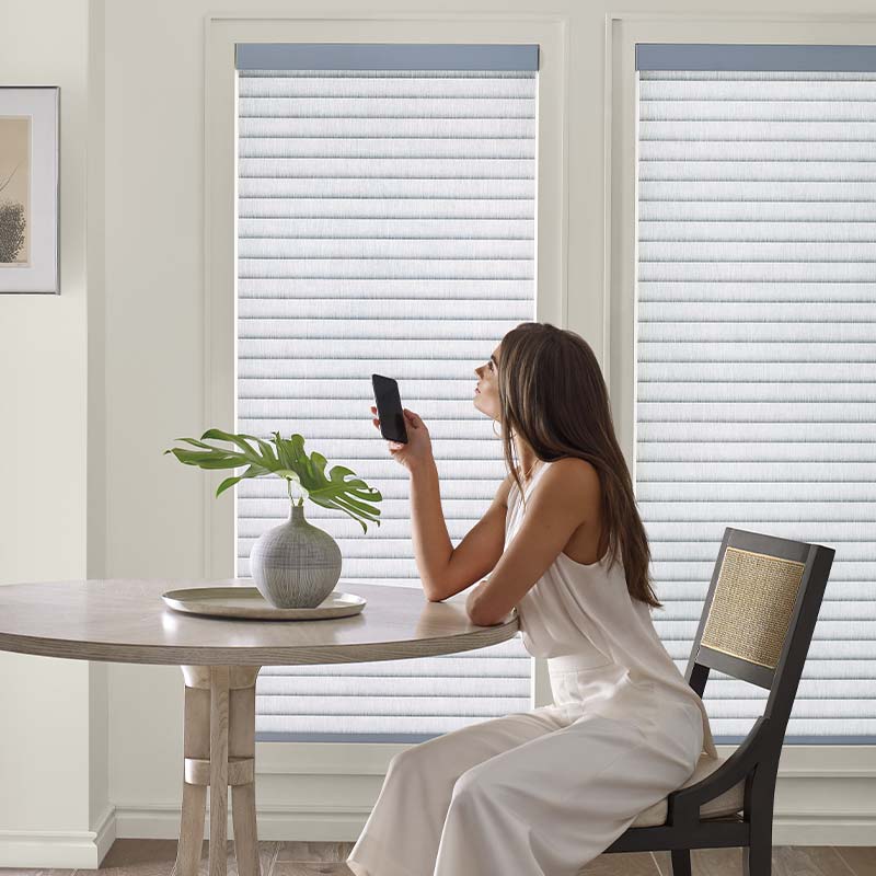 motorization-smart-home-1