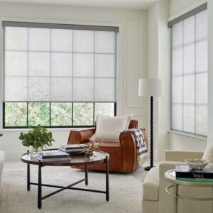 designer-solar-shades-corner-living-room-window-fashions-of-texas Designer roller shades in living room
