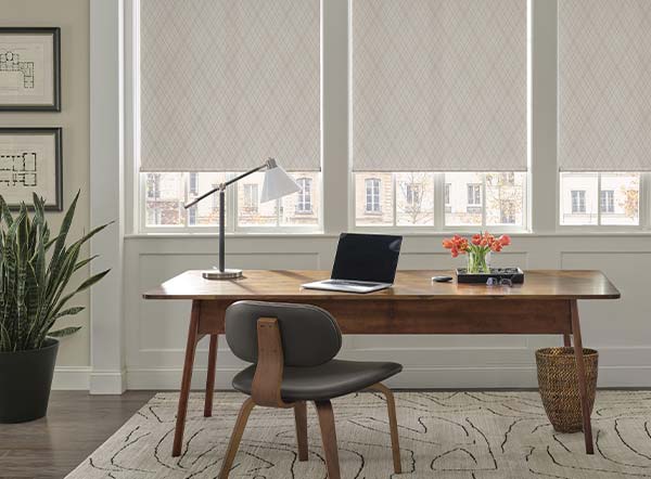 roller-shades-hunter-douglas-window-fashions-of-texas