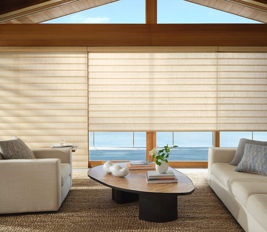 pirouette-window-treatments-contemporary-living-room-hunter-douglas-window-fashions-of-texas large khaki beige pirouette shades in living room