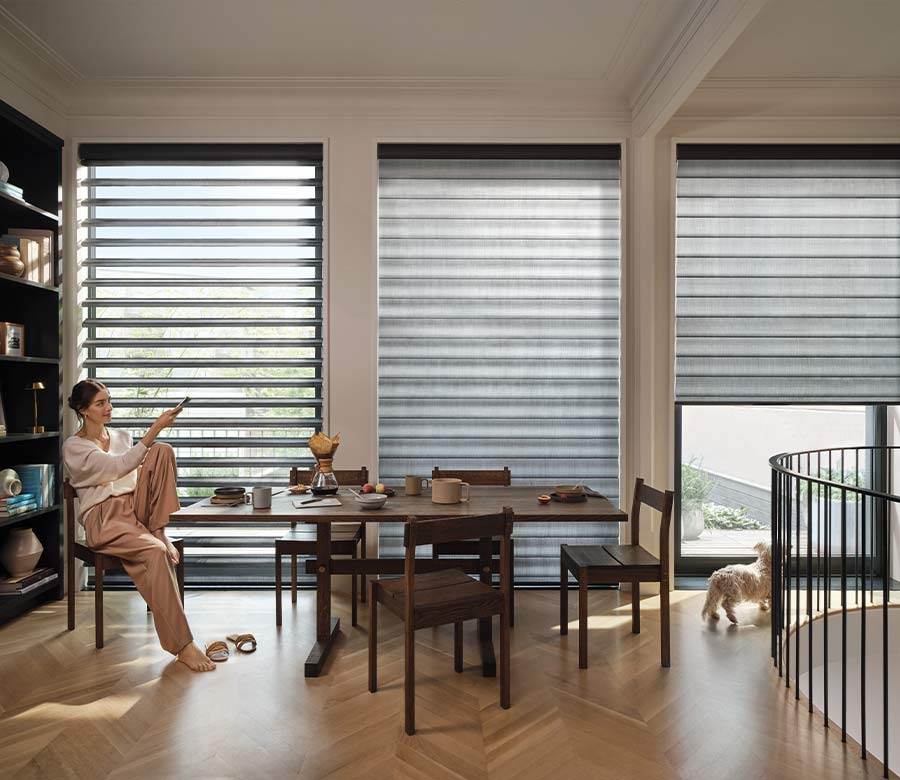 pirouette-window-treatments-multipurpose-dining-room-hunter-douglas-window-fashions-of-texas pirouette shades in multipurpose room with adjustable vanes