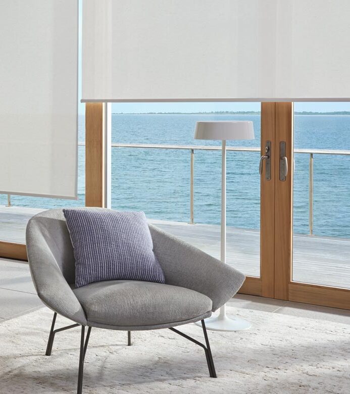 Designer-Screen-Shade-hunter-douglas-glass-doors-window-fashions-of-texas white window shades in living room screen on glass windows