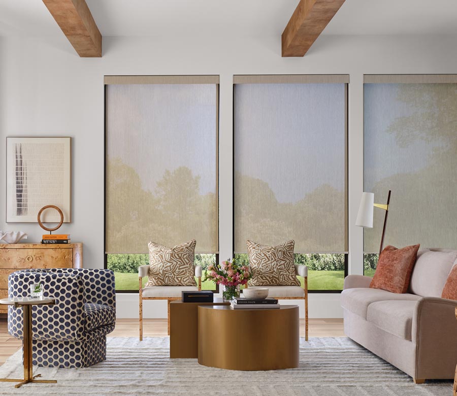 modern living room with screen shades on large windows
